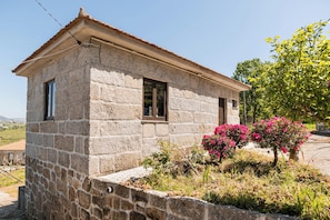 Front view