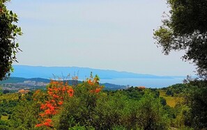 Bergblick