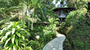 Jungle walkway leads to Tulemar Bungalow