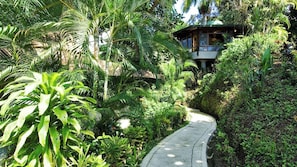 Jungle walkway leads to Tulemar Bungalow