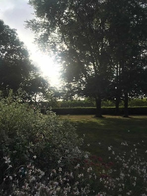 Jardin