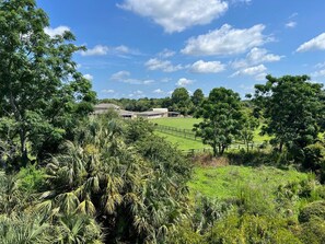 Amazing views of the Equestrian Center.