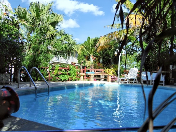 Swimming pool view