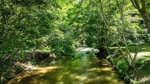 The Creek At Mountaintown Chalet 