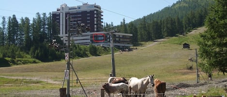 Ăvrigt