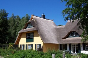 Außenseite Ferienhaus [Sommer]