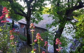 施設の敷地