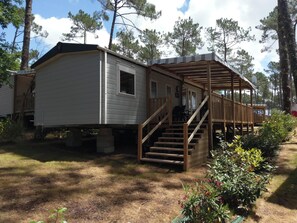 Back view