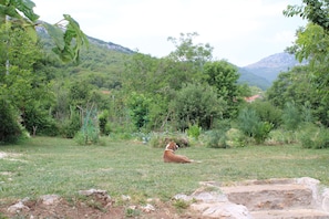 Ăvrigt