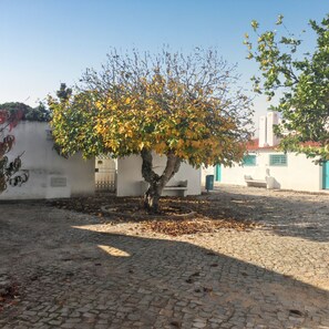 Jardin