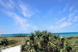 View of Cape Palms Park