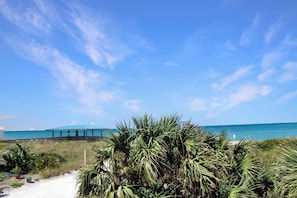 View of Cape Palms Park