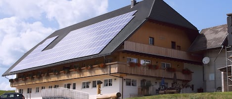 Exteriör