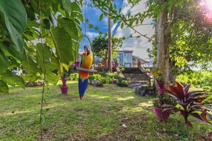 Jardín