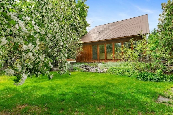 back yard