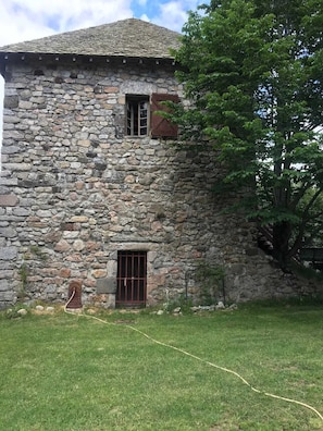 Front view