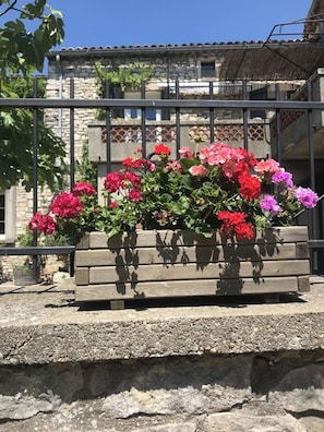 Jardin