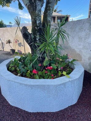 Jardin