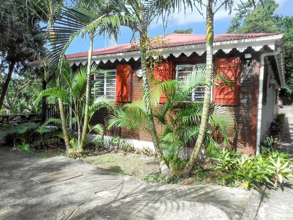 Front view