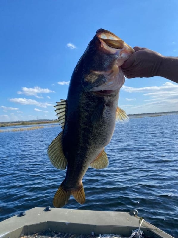 Wold Class freshwater fishing