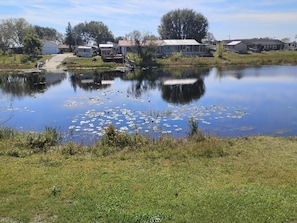 Lake front view
