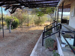 Jardin