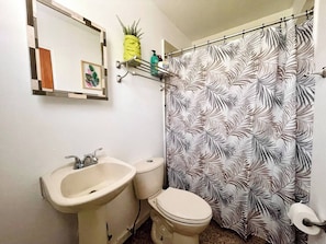 Sparkling clean bathroom with a fresh design.