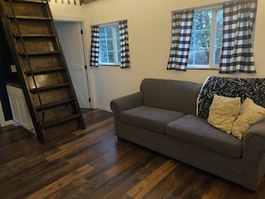 Living room couch has full size, pull-out couch