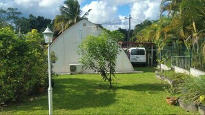 Back view