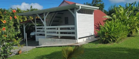 Front view