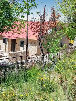 Front view