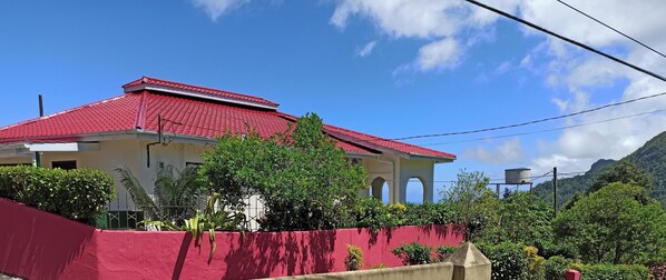 Front view