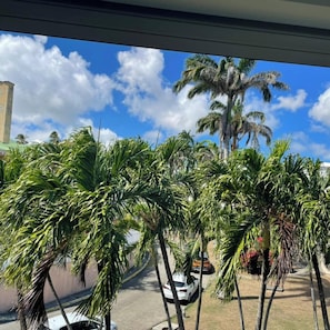 Areal view