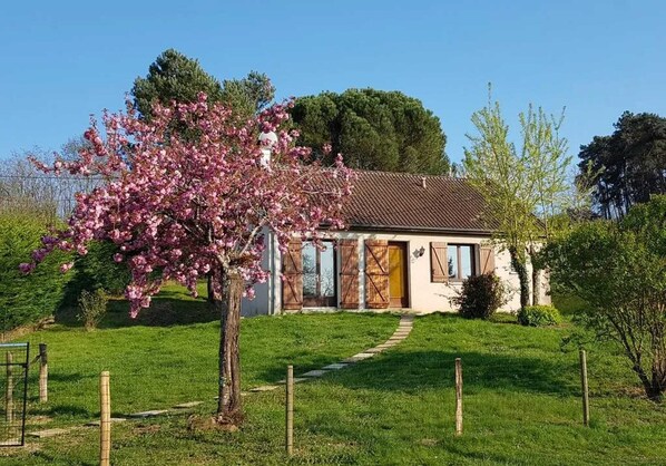 Vista frontal