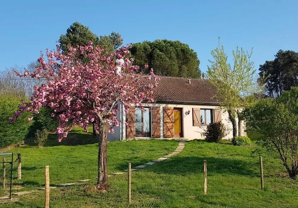 Vista frontal