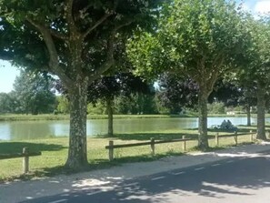 Lake view