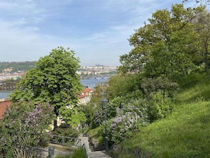 Arbre, La Nature, Végétation, Arbuste, Paysage, Printemps, Jardin, Passerelle, Aménagement Paysager