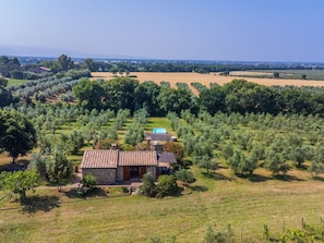 Arbre, Zone Rurale, Plaine, Lot Terre, Plantation, Champ, Biens, Chalet, Agriculture, Ferme