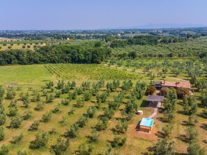 Plaine, Paysage, Zone Rurale, Lot Terre, Champ, Plantation, Agriculture, Ferme, Vue Du Ciel, Photographie Aérienne