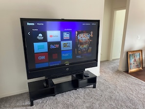 Television