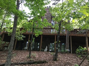 Back view