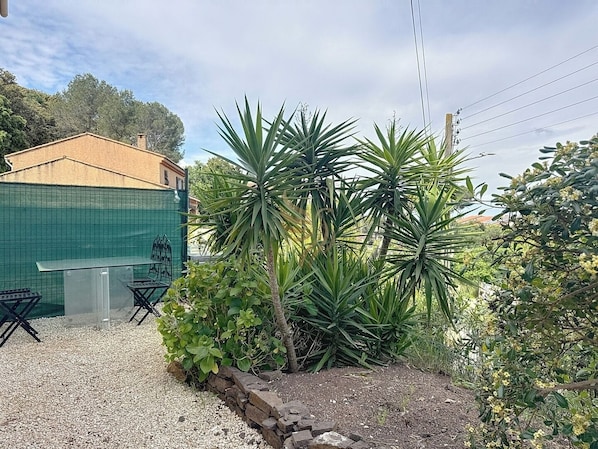 Immergez-vous dans cet oasis extérieur paisible. Profitez du café matinal entouré de végétation luxuriante et de mobilier en plein air. La barrière verte ajoute de l'intimité à cet espace tranquille.