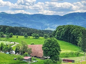 Mountainous Landforms, Tree, Grass, Green, Natural Environment, Nature, Hill, Natural Landscape, Grassland