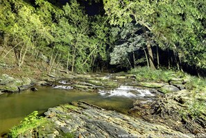 stream1