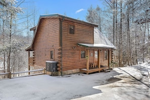 thebigmoose-1
