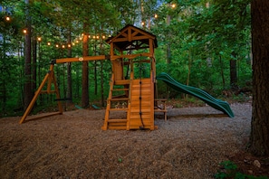 Outdoor playset for kids and kids at heart!