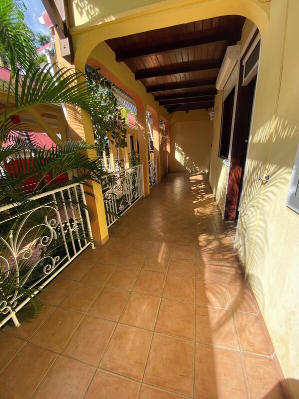 Garden view