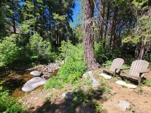 Creekside seating: Forest-edge chairs beside a tranquil creek, perfect for morning coffee or nature watching