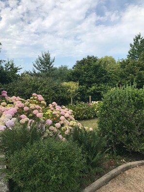 Boendeområde