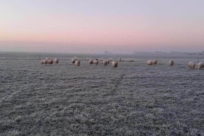 Dans la région [été] (&gt;5 km)